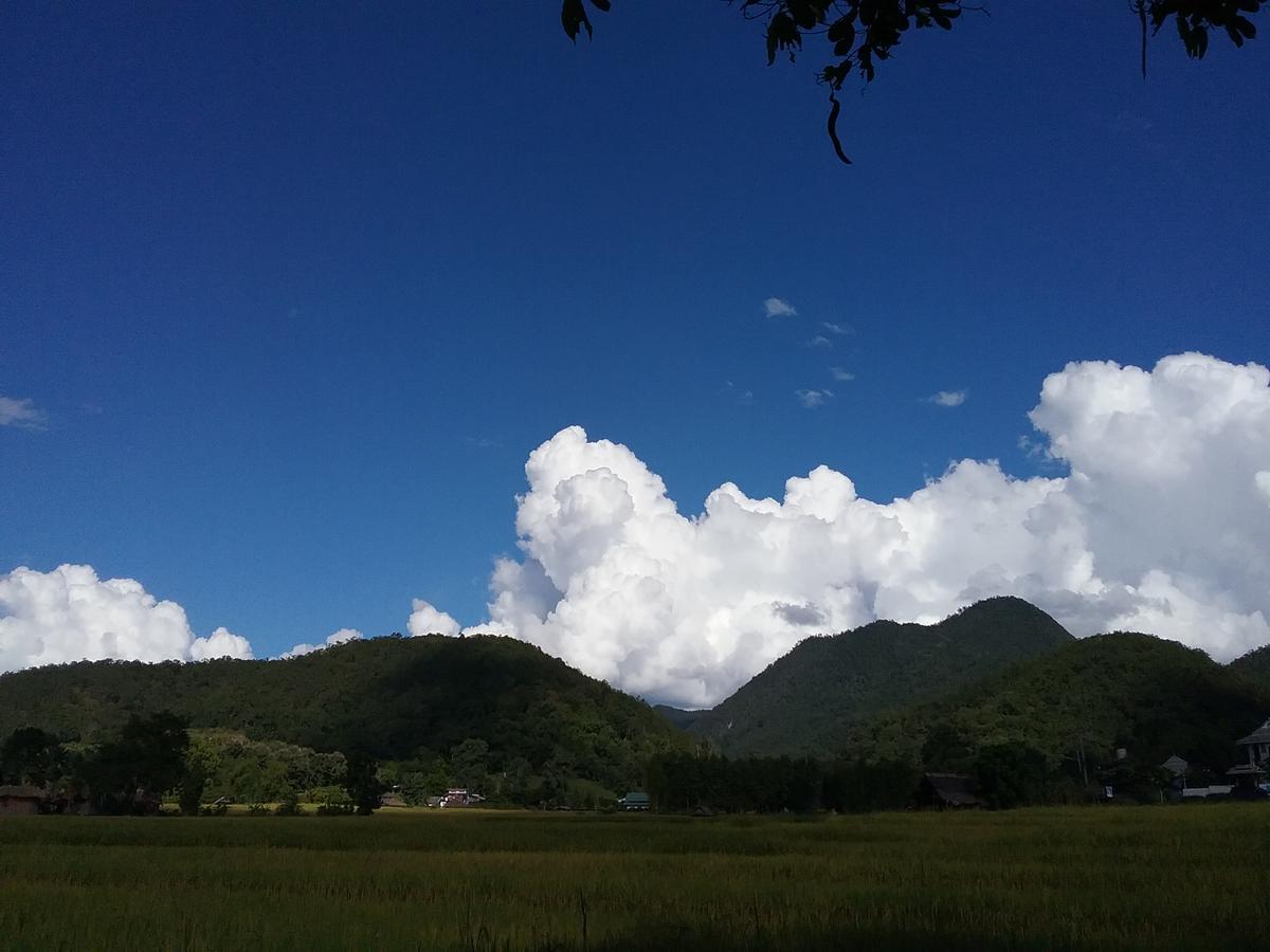 Paitopia 外观 照片